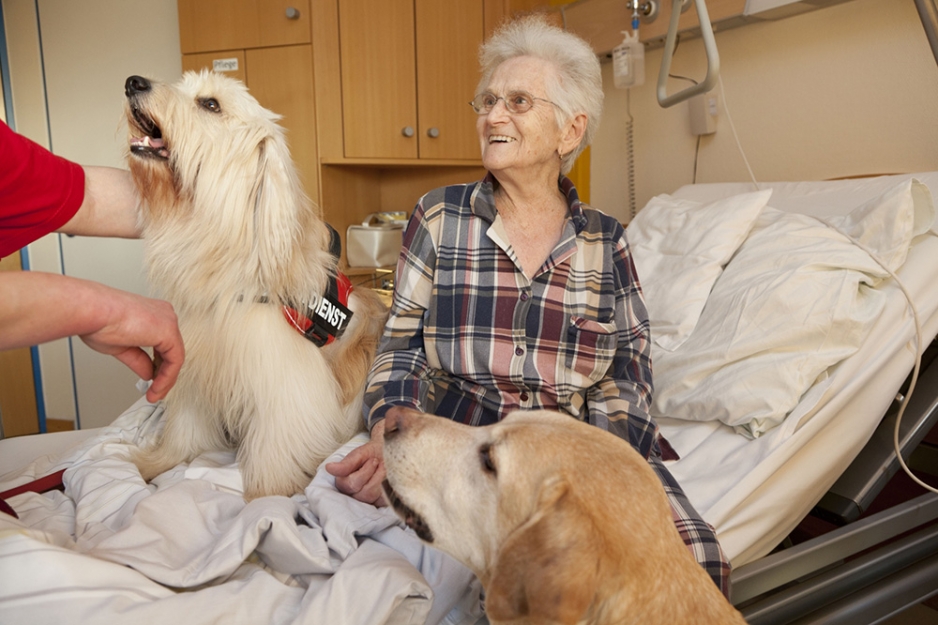 ältere Frau sitzt lachend in einem Pflegebett und streichelt einen Hund der bei Ihr im Bett sitzt