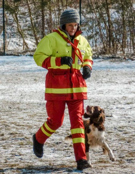 Vier neue Flächensuchhunde – Bild