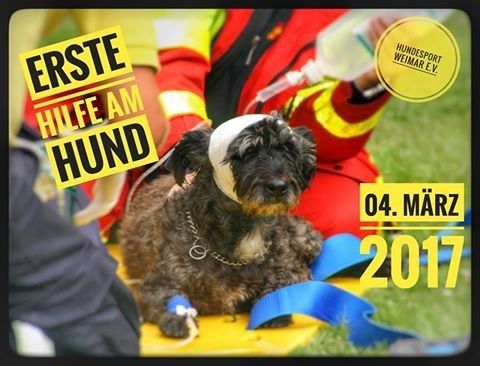 Erste Hilfe am Hund Workshop Erste Hilfe am Hund Workshop
