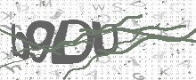 Captcha Bild